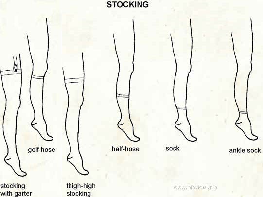 Stocking  (Visual Dictionary)